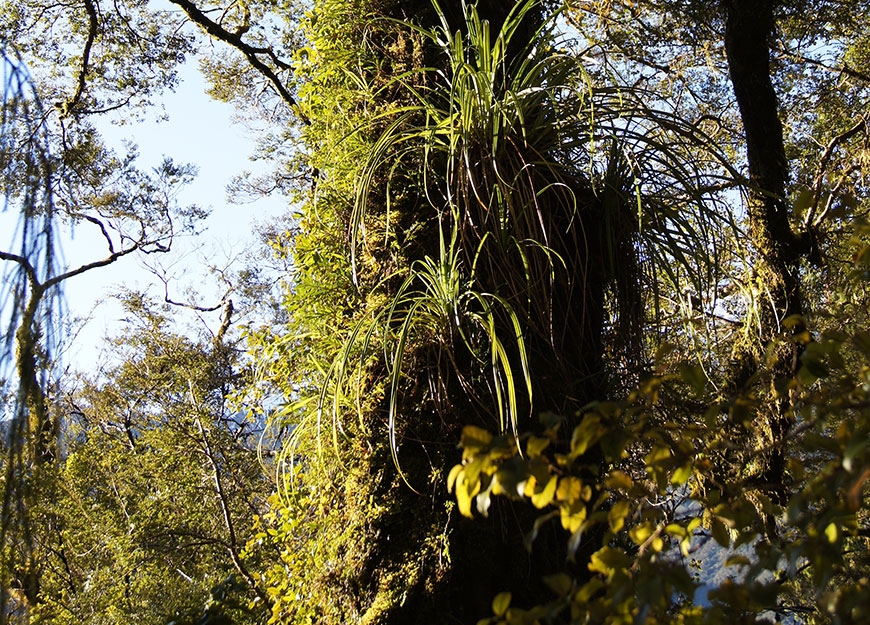 lodge located in the middle of Haast